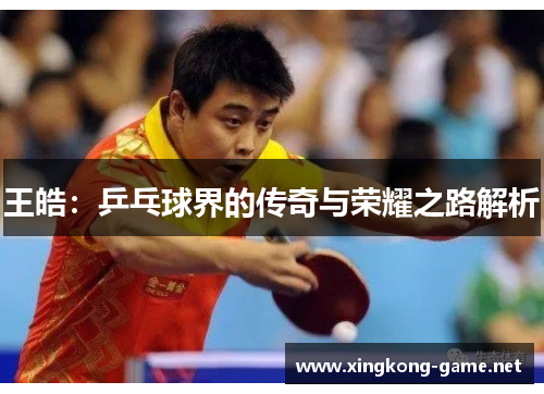 王皓：乒乓球界的传奇与荣耀之路解析