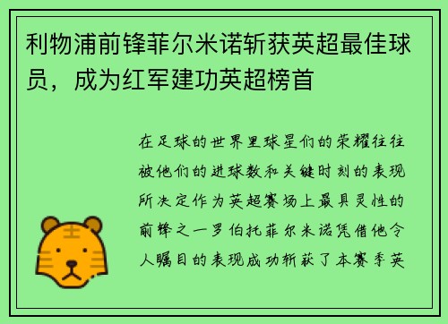 利物浦前锋菲尔米诺斩获英超最佳球员，成为红军建功英超榜首